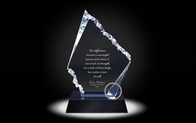custom acrylic awards acrylic trophy